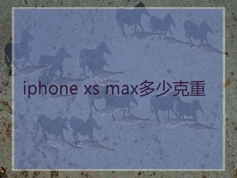 iphone xs max多少克重