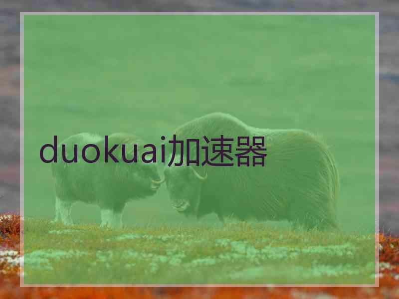 duokuai加速器