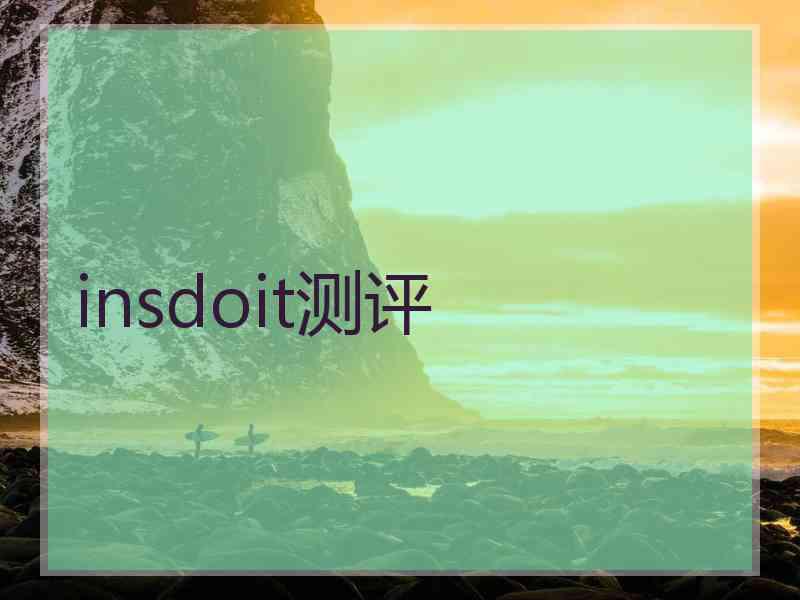 insdoit测评