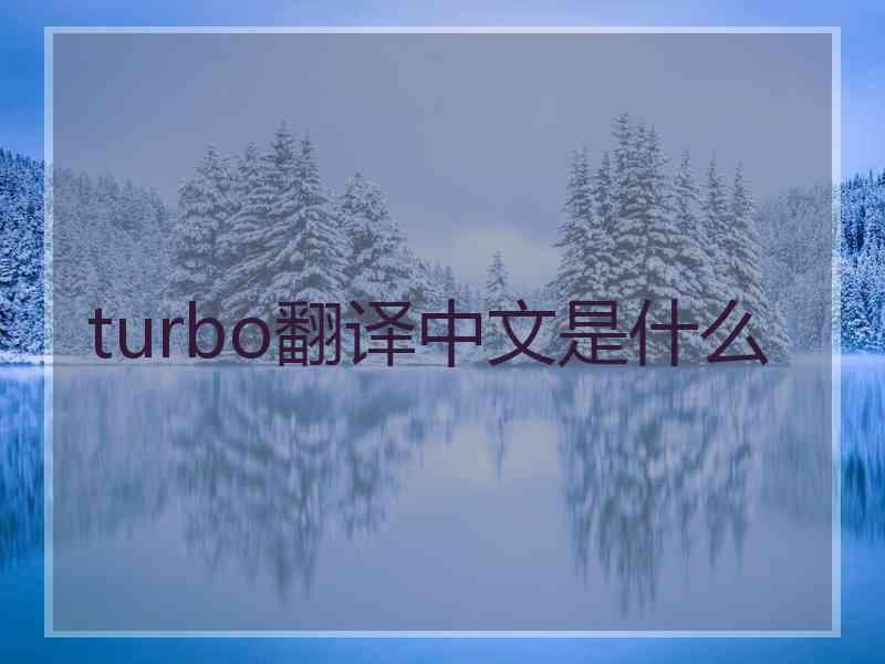 turbo翻译中文是什么