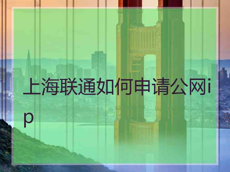 上海联通如何申请公网ip