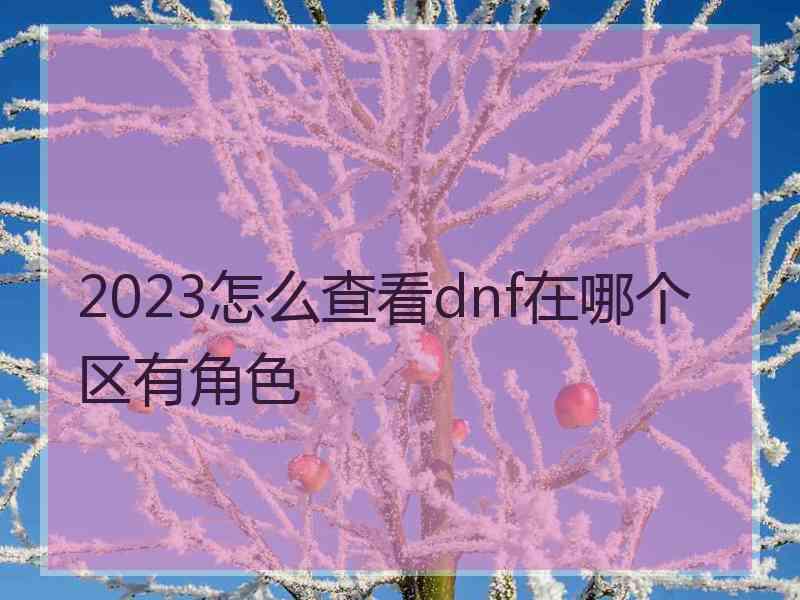 2023怎么查看dnf在哪个区有角色