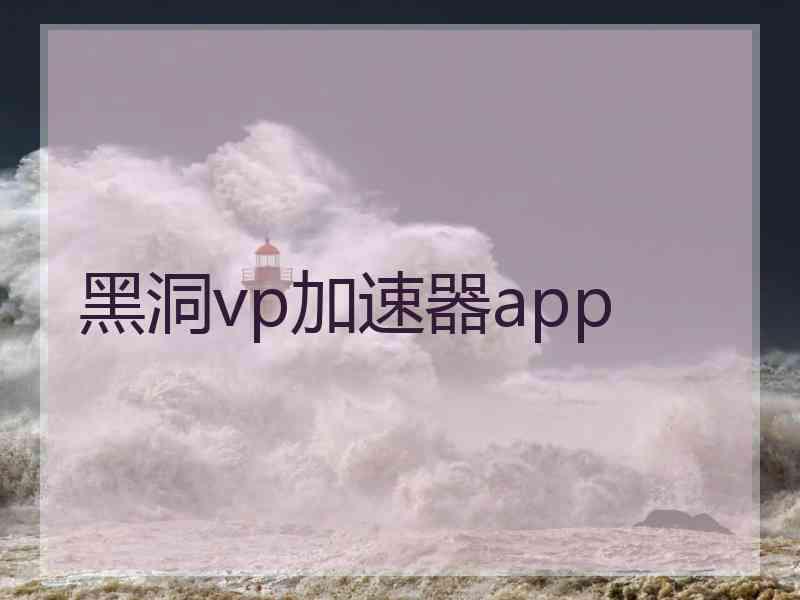 黑洞vp加速器app