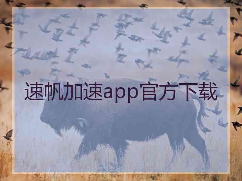 速帆加速app官方下载