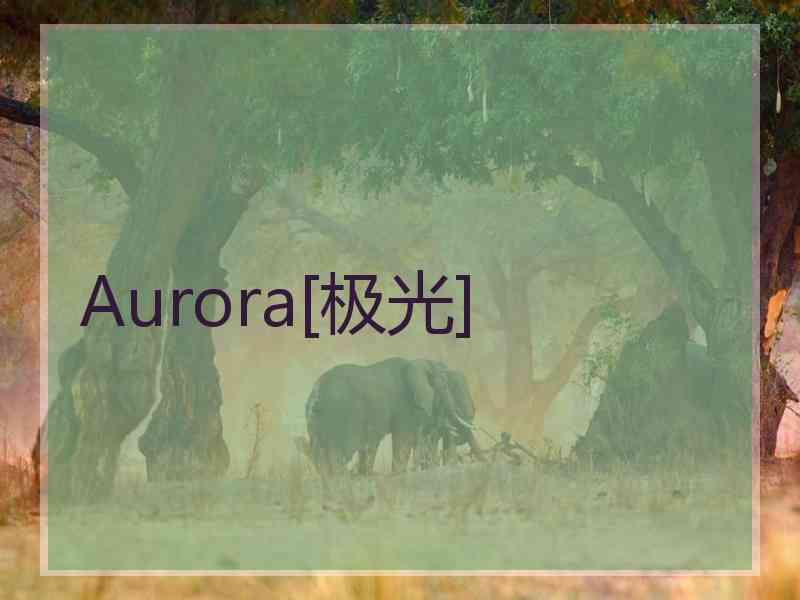 Aurora[极光]