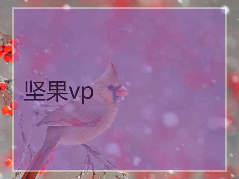 坚果vp