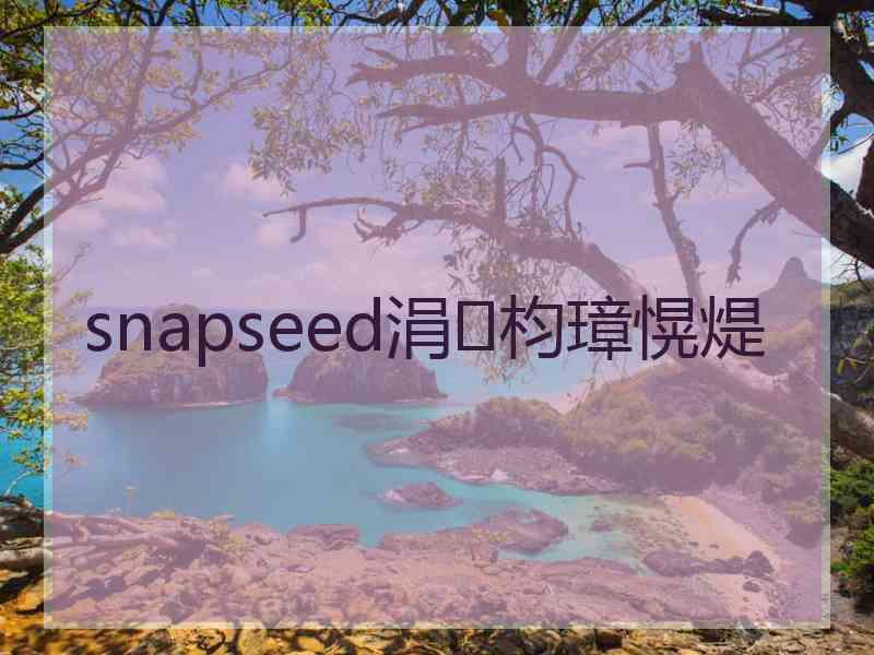 snapseed涓枃璋愰煶