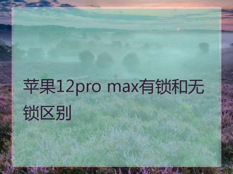 苹果12pro max有锁和无锁区别