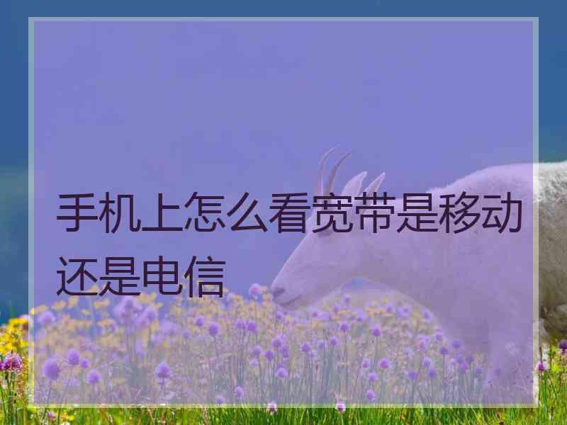 手机上怎么看宽带是移动还是电信