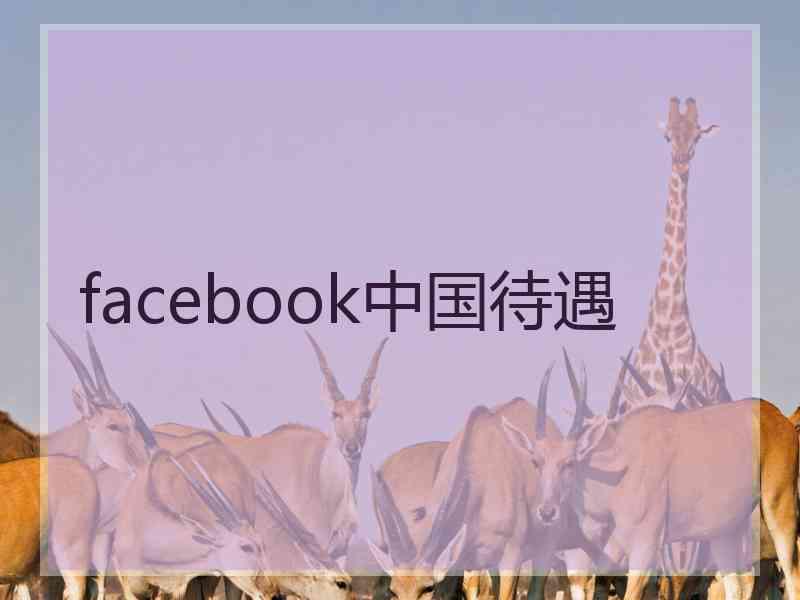 facebook中国待遇