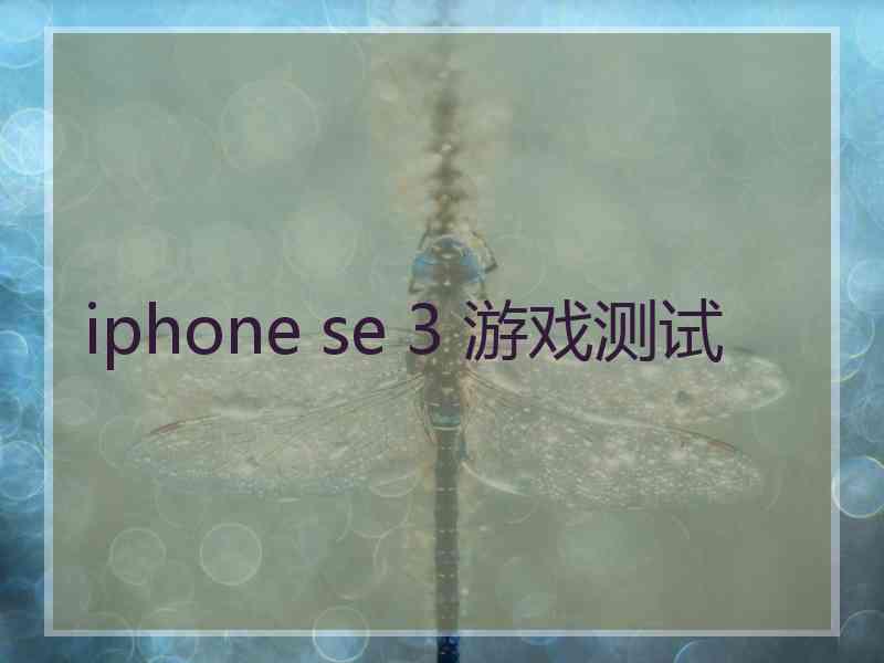 iphone se 3 游戏测试