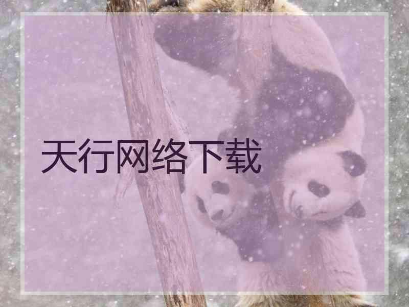 天行网络下载