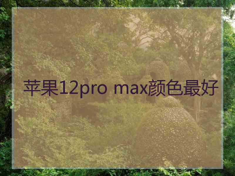 苹果12pro max颜色最好