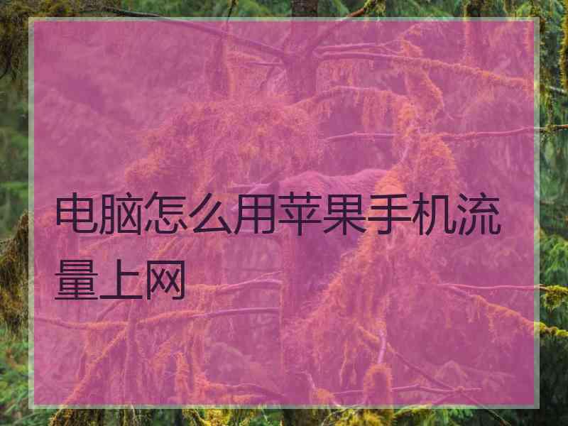 电脑怎么用苹果手机流量上网