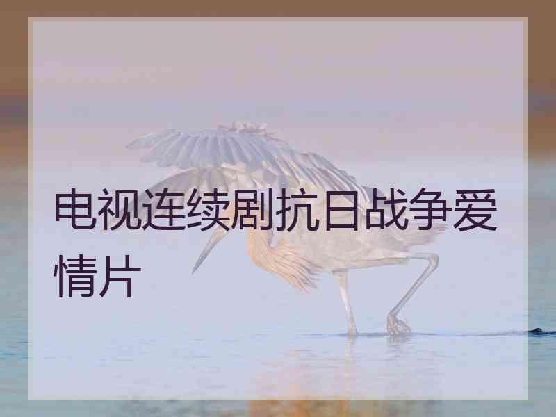 电视连续剧抗日战争爱情片