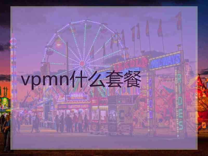 vpmn什么套餐