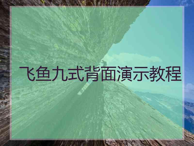 飞鱼九式背面演示教程