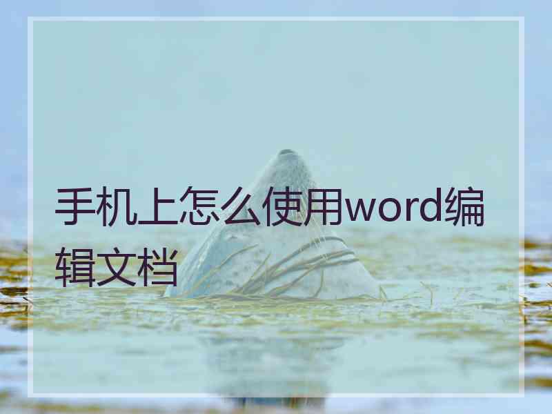 手机上怎么使用word编辑文档