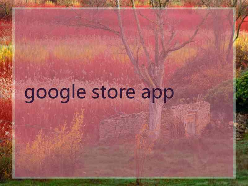 google store app