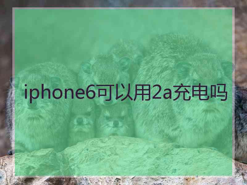 iphone6可以用2a充电吗