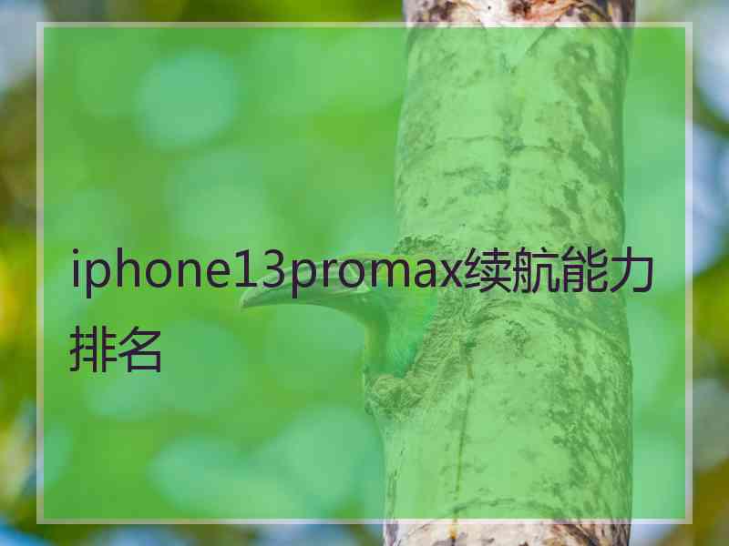 iphone13promax续航能力排名