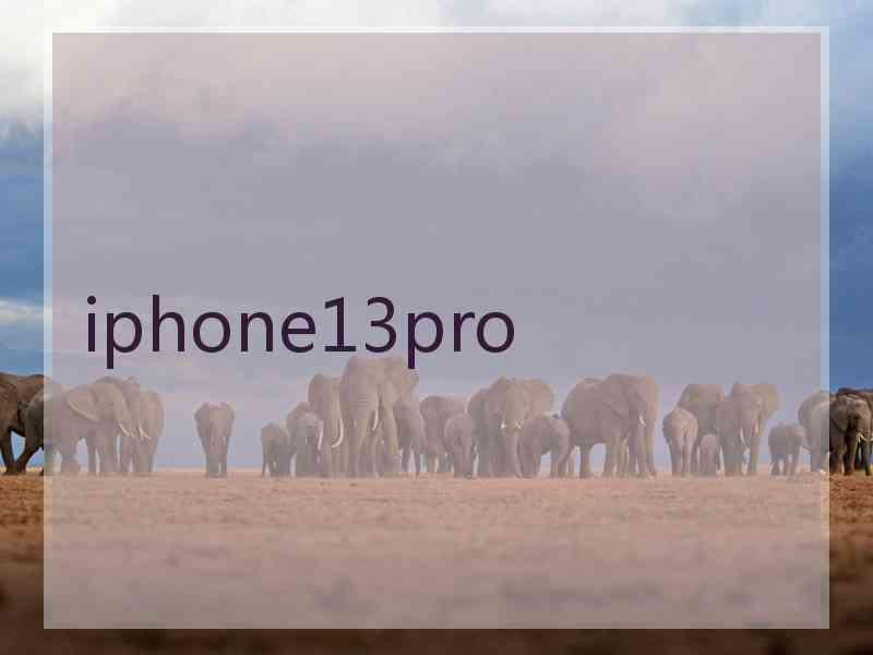 iphone13pro