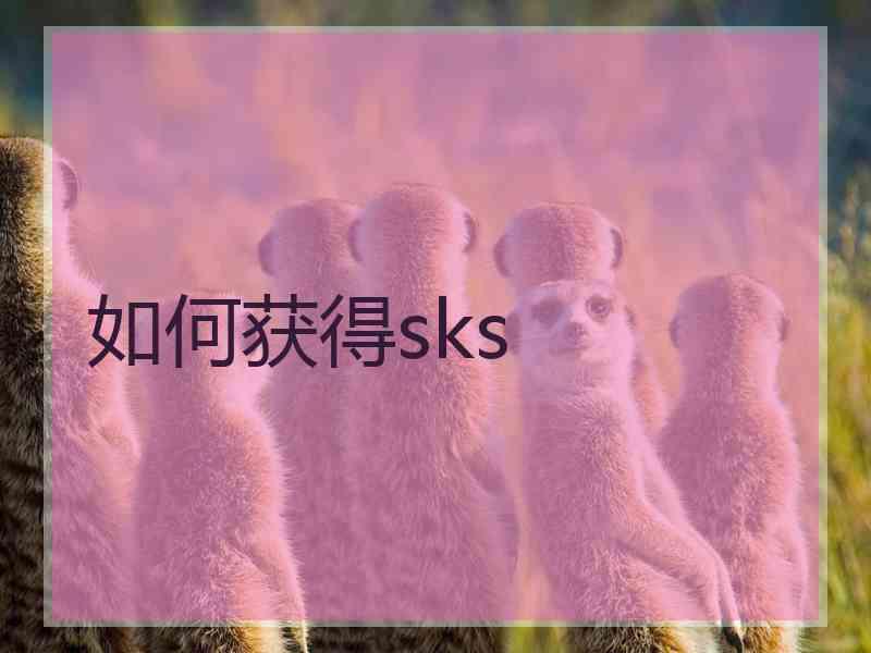 如何获得sks