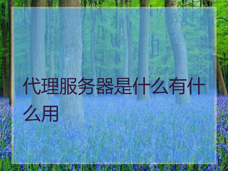 代理服务器是什么有什么用