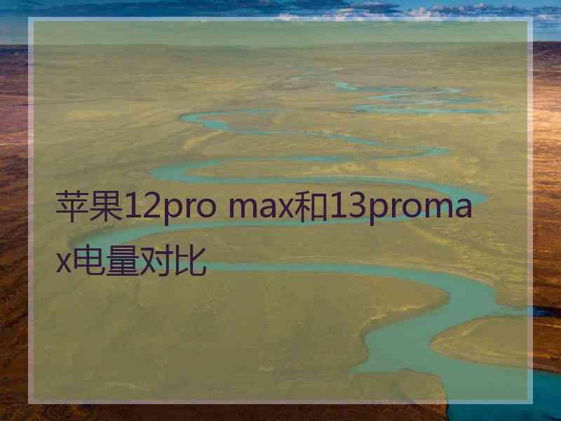 苹果12pro max和13promax电量对比