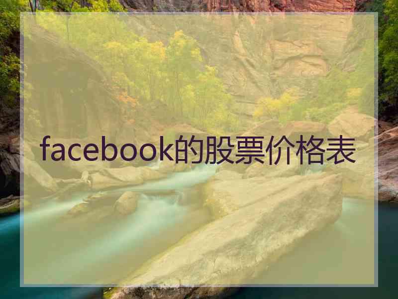 facebook的股票价格表