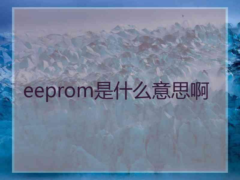 eeprom是什么意思啊