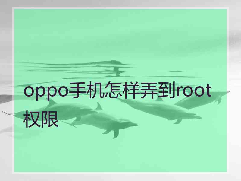 oppo手机怎样弄到root权限