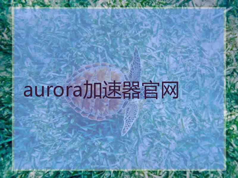 aurora加速器官网