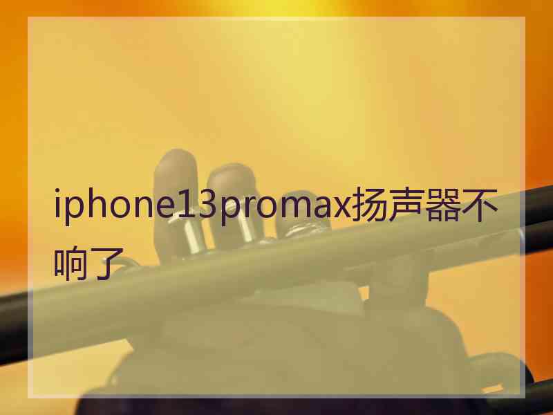 iphone13promax扬声器不响了