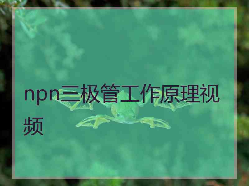 npn三极管工作原理视频