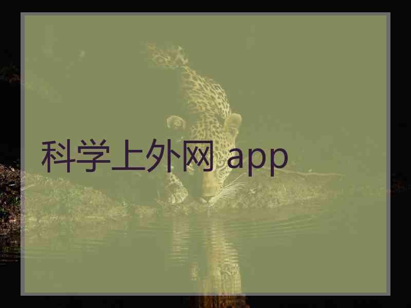 科学上外网 app