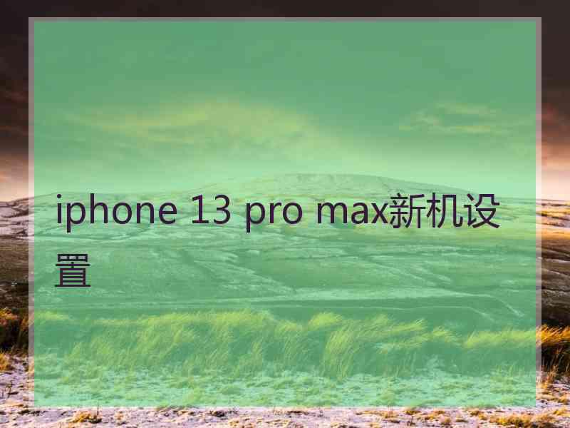 iphone 13 pro max新机设置