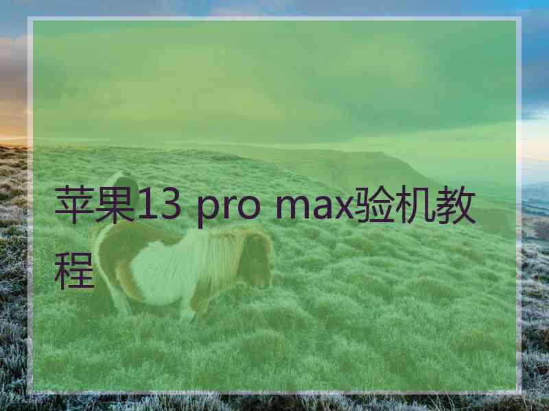 苹果13 pro max验机教程