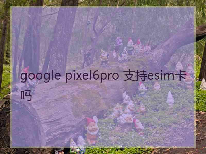 google pixel6pro 支持esim卡吗