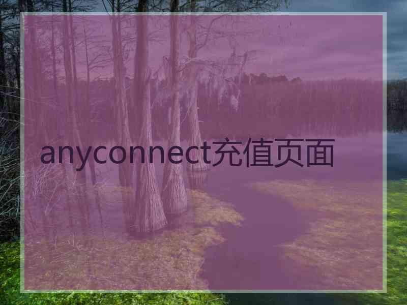 anyconnect充值页面