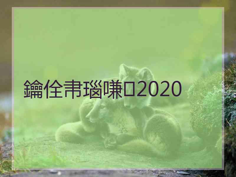 鑰佺帇瑙嗛2020