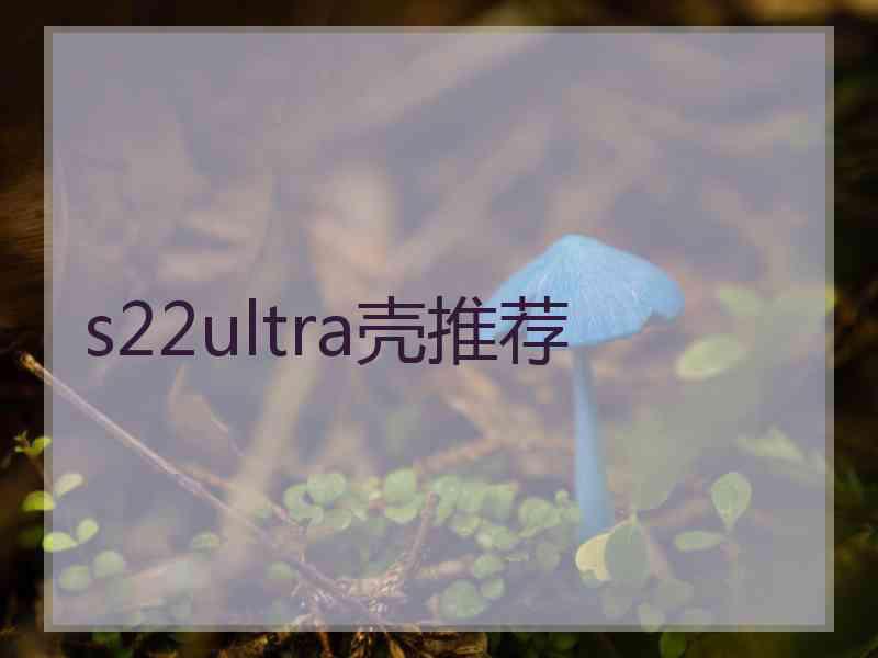 s22ultra壳推荐