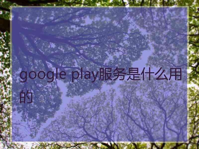 google play服务是什么用的