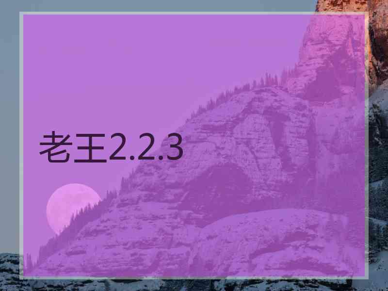 老王2.2.3