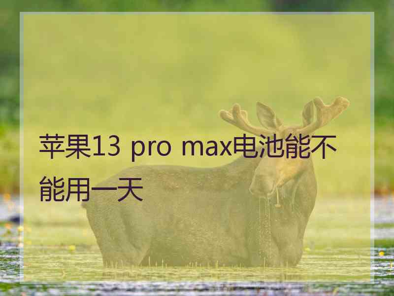 苹果13 pro max电池能不能用一天