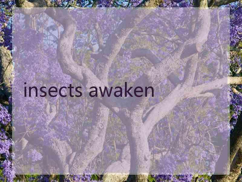 insects awaken