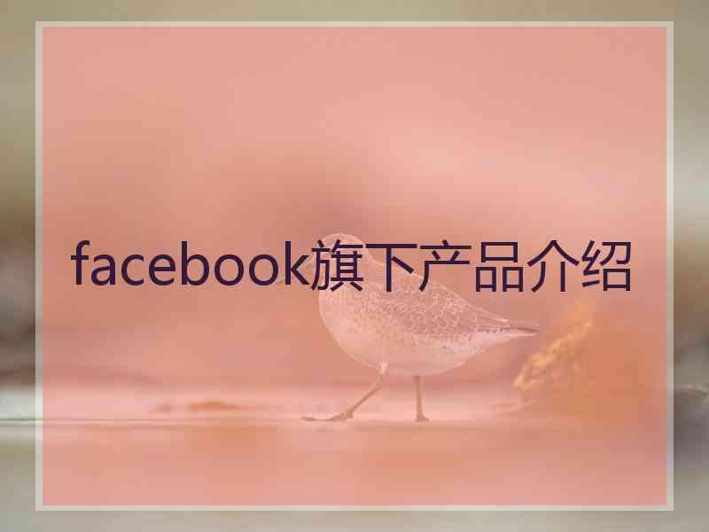 facebook旗下产品介绍