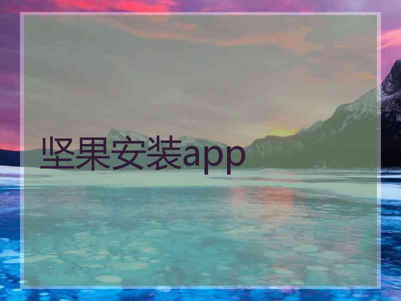 坚果安装app