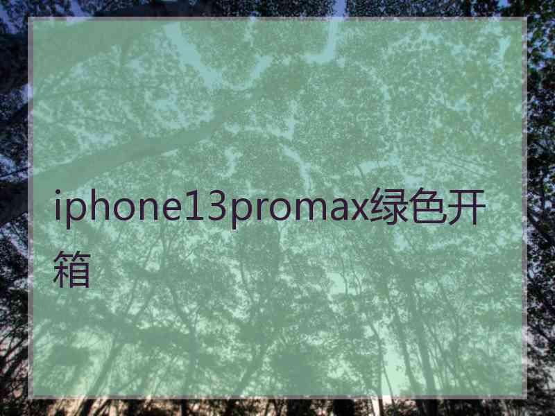 iphone13promax绿色开箱