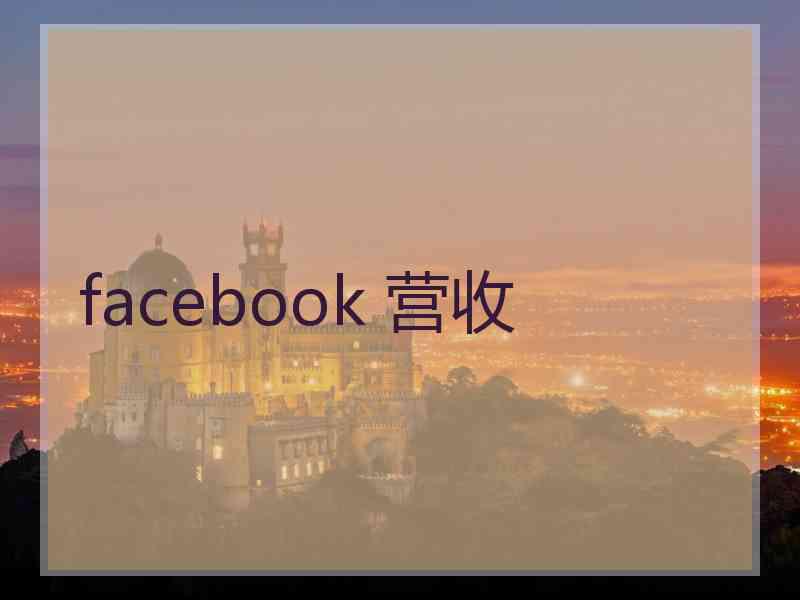 facebook 营收